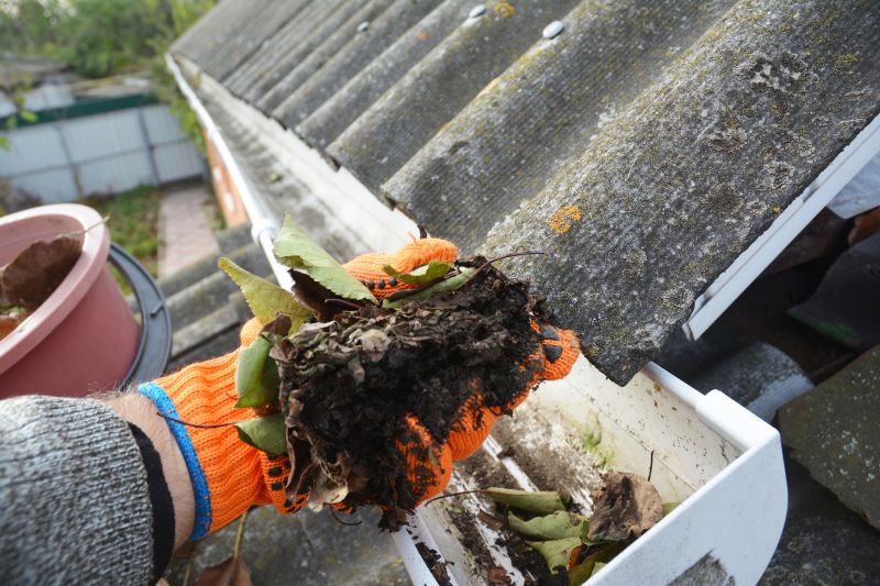 Gutter Leaves Removal detail