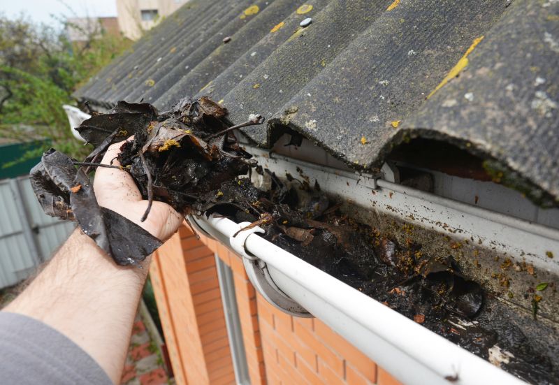 Gutter Debris Removal