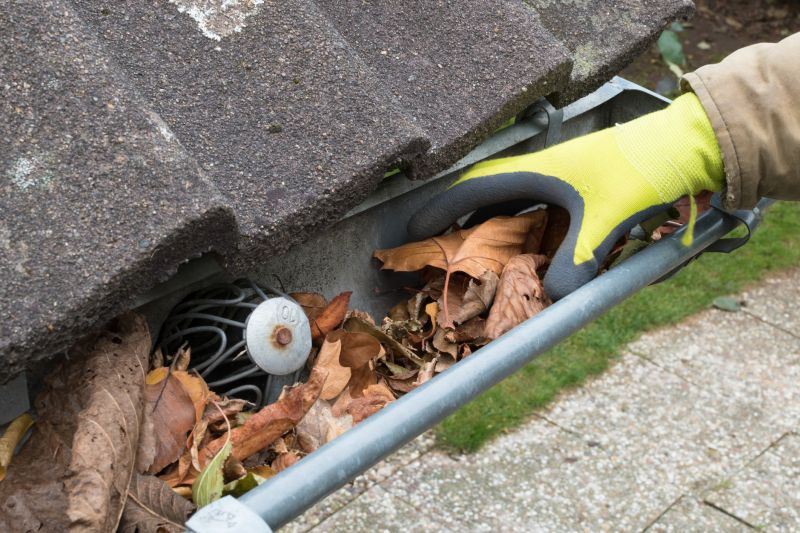 Gutter Leaves Removal