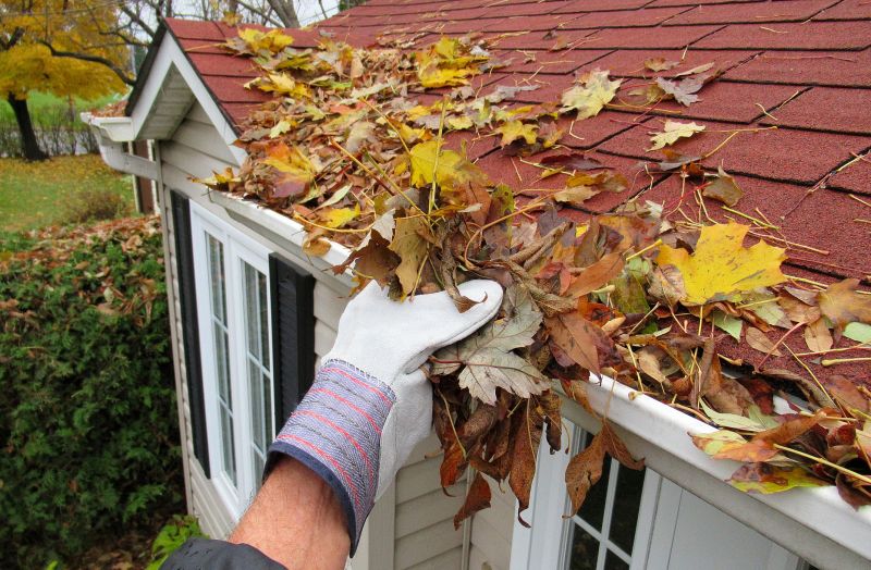 Rain Gutter Maintenance