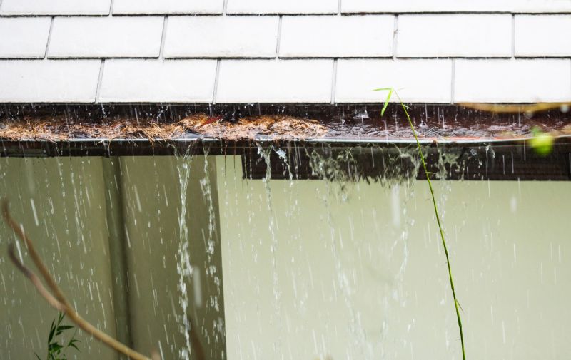 Signs You Need Gutter Cleaning