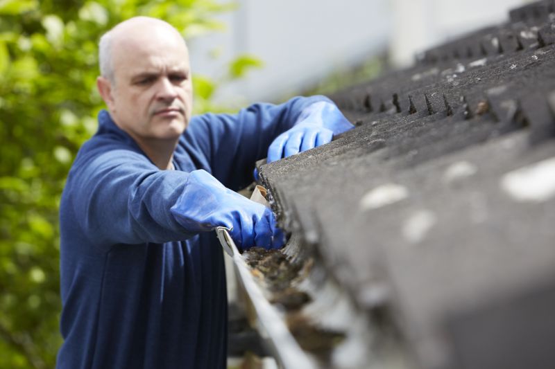 Increase Your Gutter Cleaning Business with an AI Driven, Targeted Website