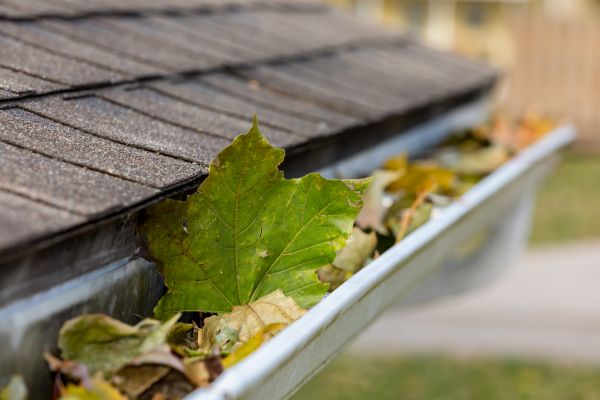 Cost of Gutter System Cleaning in Danville