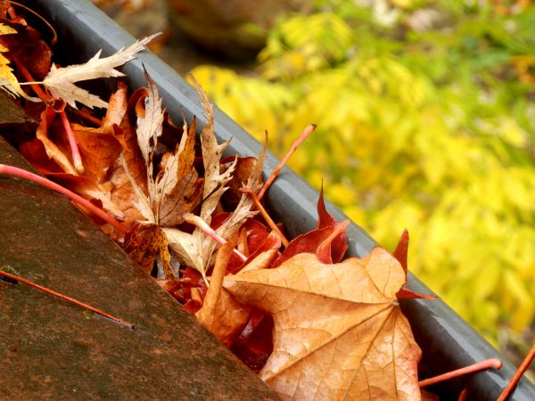 Roof Gutter Debris Removal