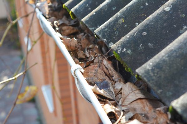 Cost of Home Gutter Cleaning in Danville