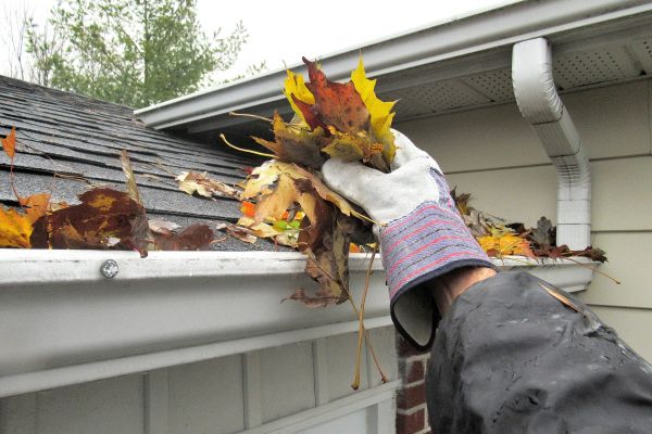 Cost of Gutter Blockage Removal in Danville